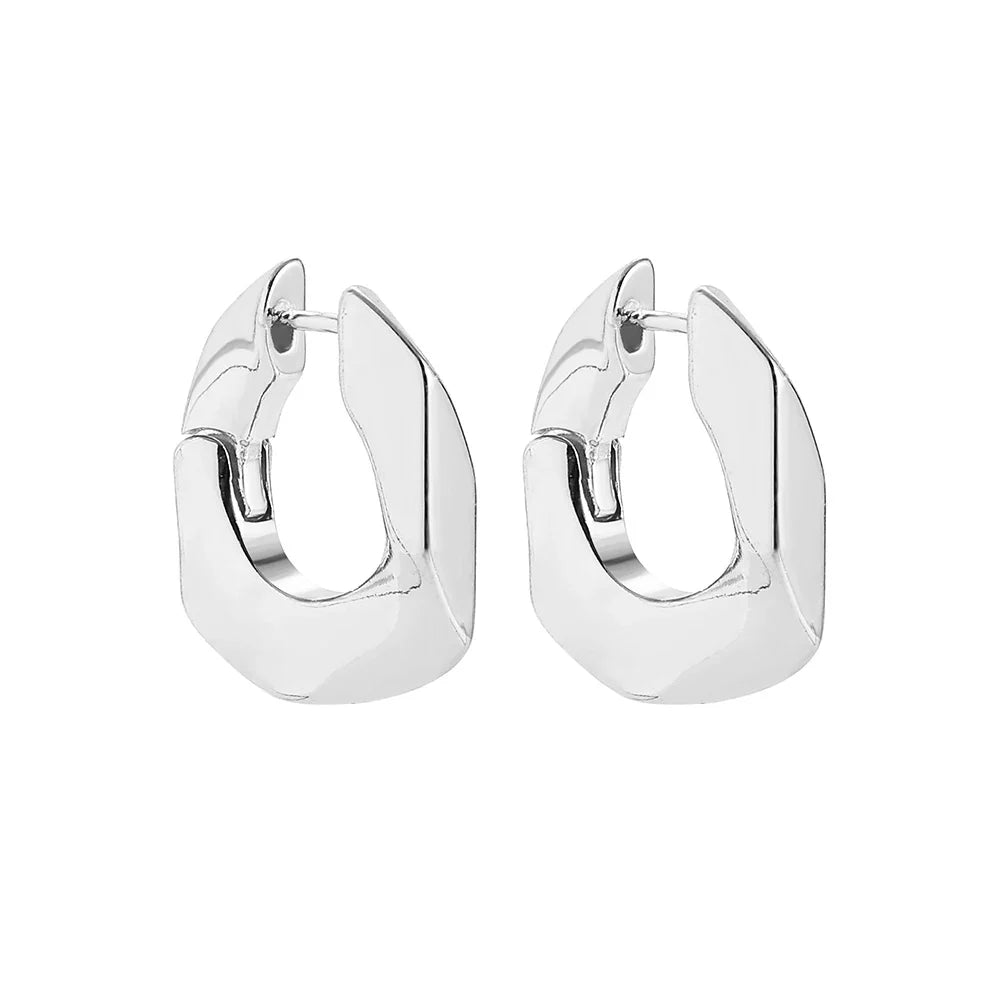 Stainless Steel Big Circle Hoop Earrings